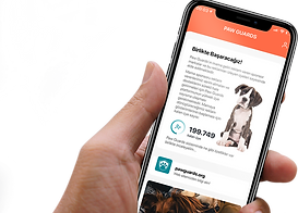 paw-iPhone_Х_Mockup.png
